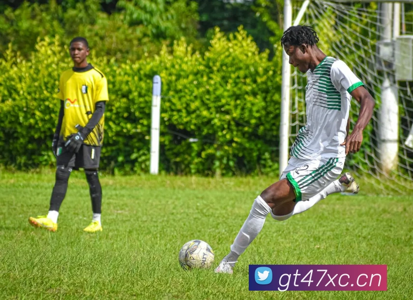 云开体app官网登录入口平台生态图