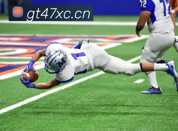 云开体app官网登录入口APP 封面图